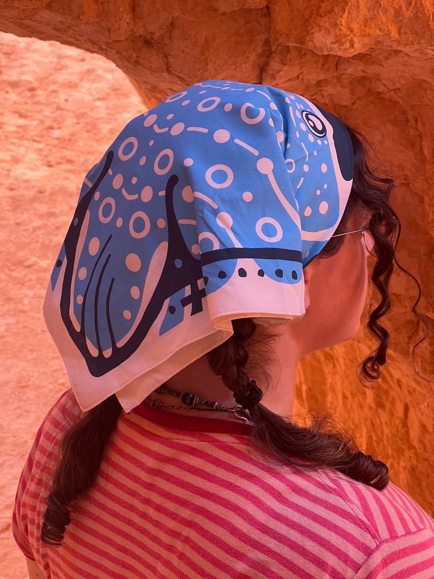 Whale Shark Fishdana