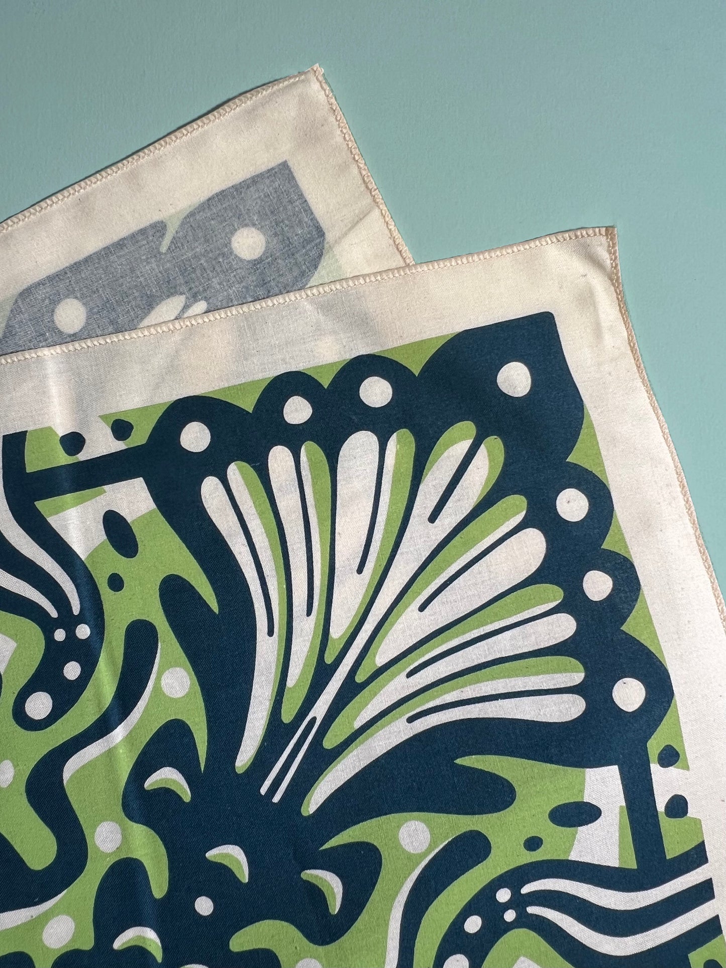 Large Mouth Bass Fishdana