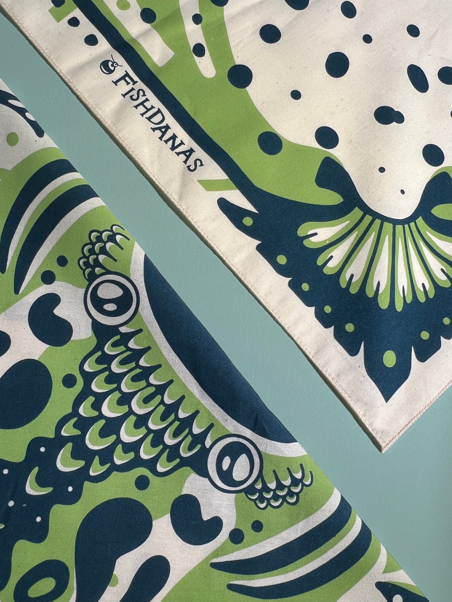 Large Mouth Bass Fishdana