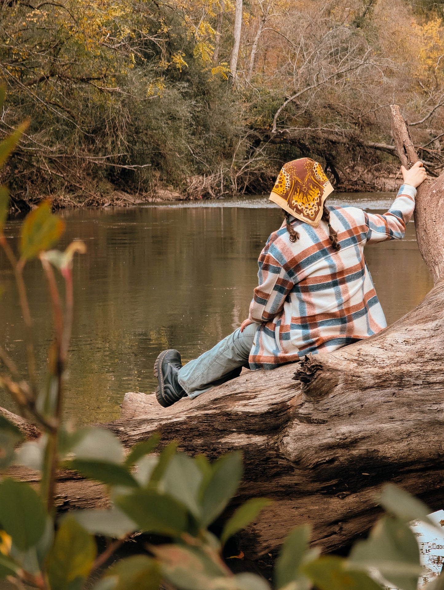 Brown Trout Fishdana
