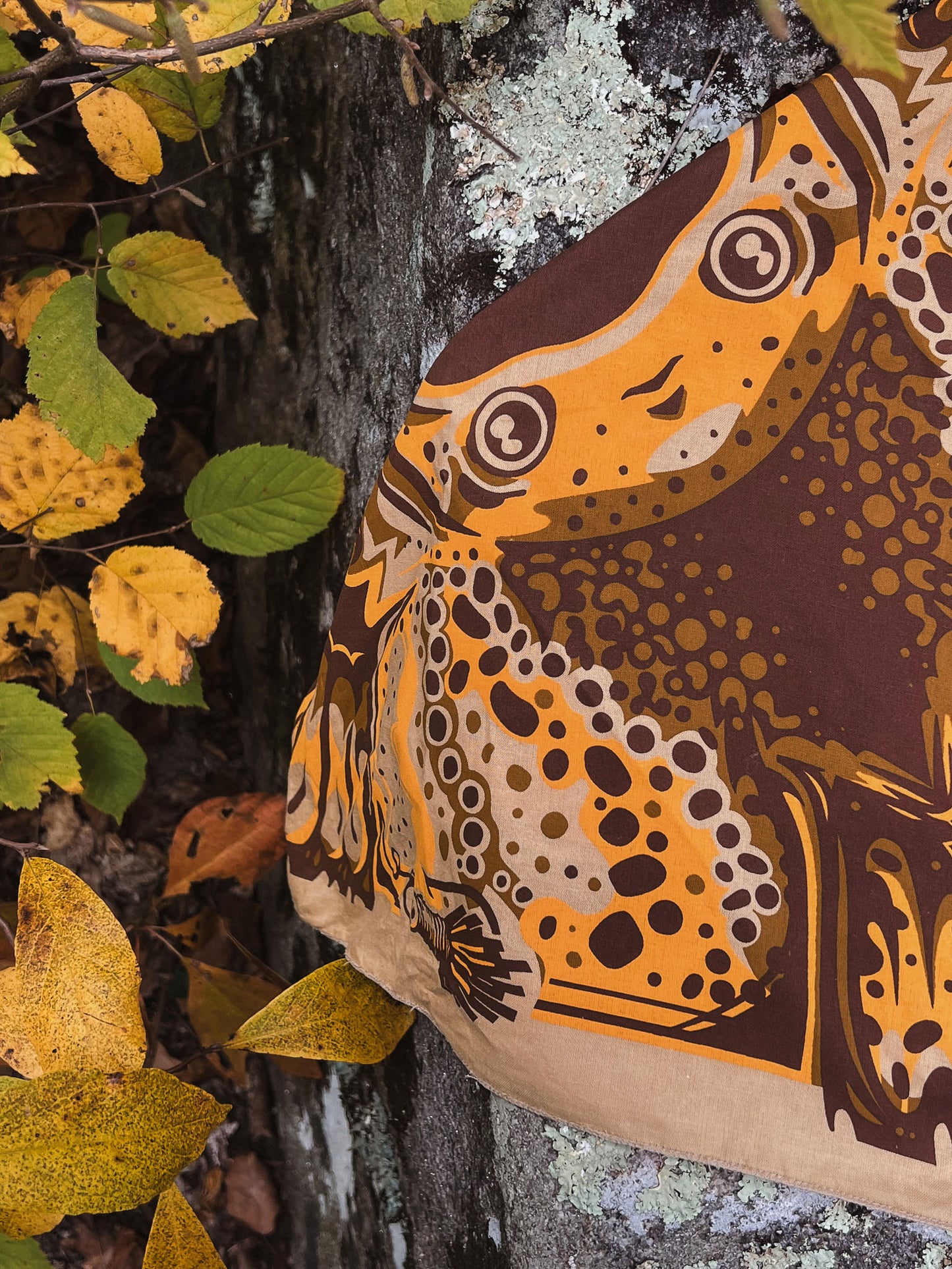 Brown Trout Fishdana