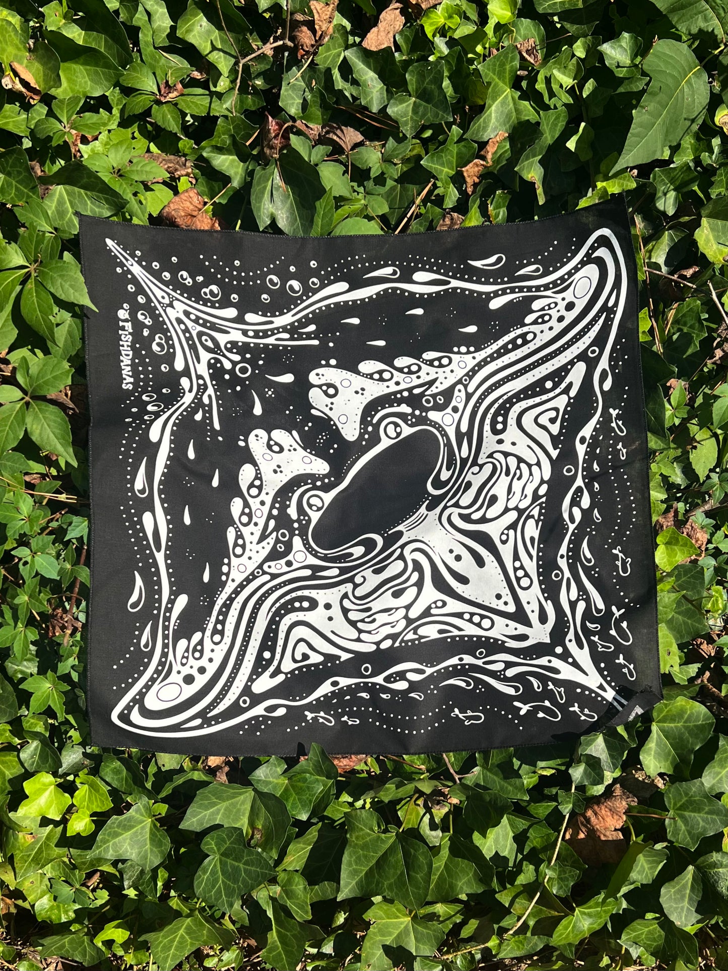 Manta Ray Fishdana