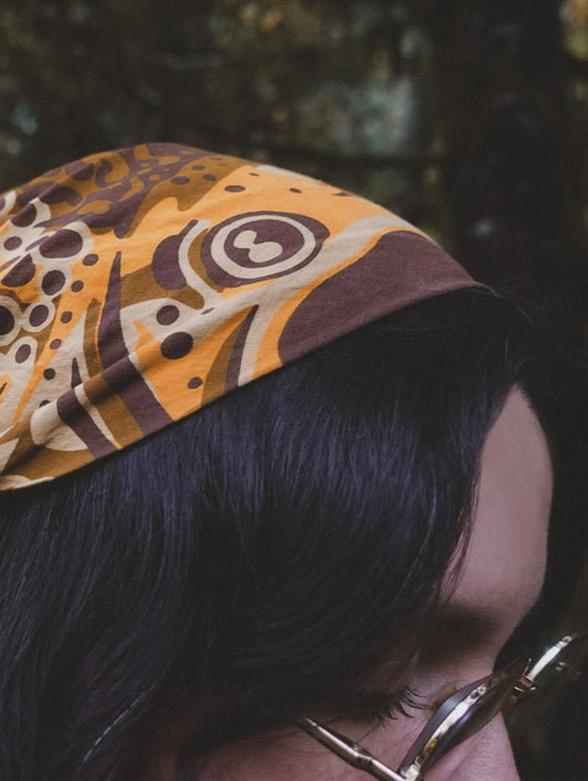 Brown Trout Fishdana