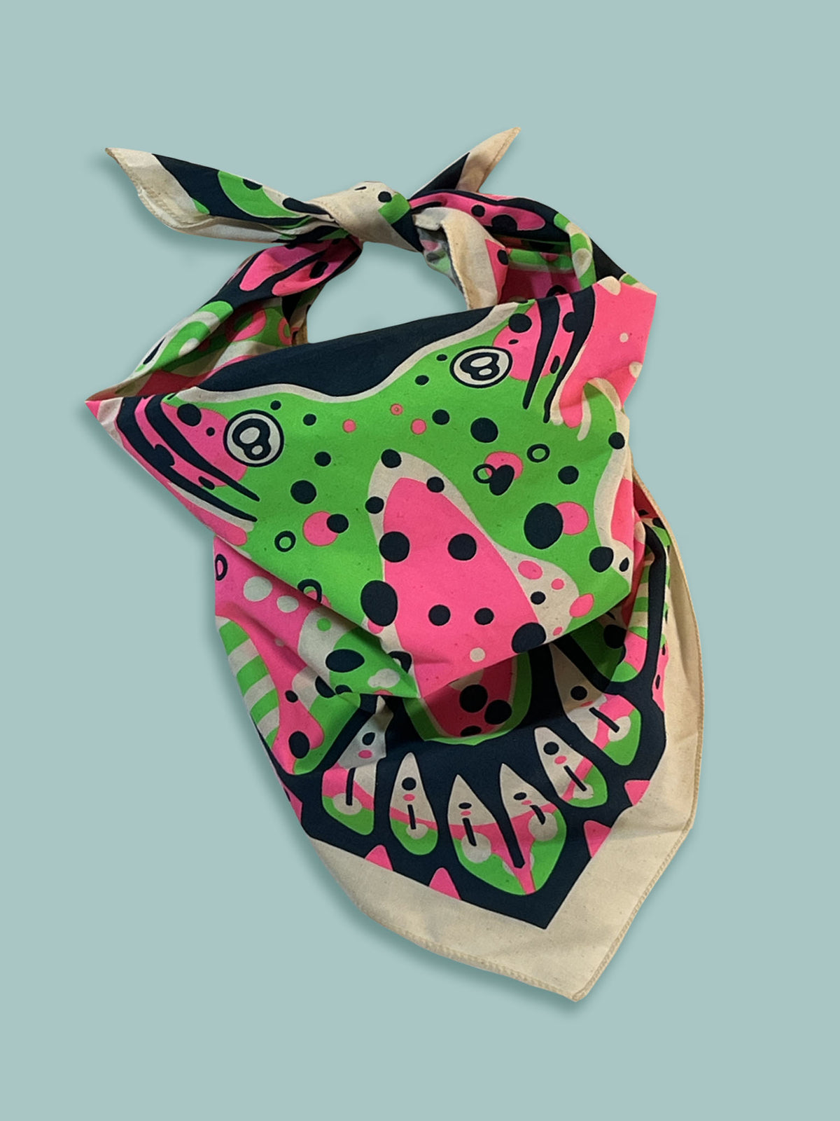 Rainbow Trout Fishdana